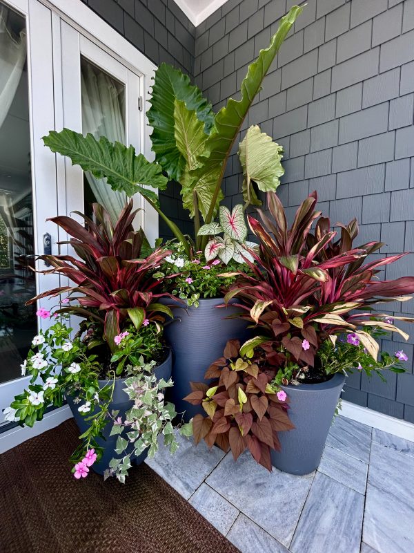 Porch container arrangement with lush tropical foliage