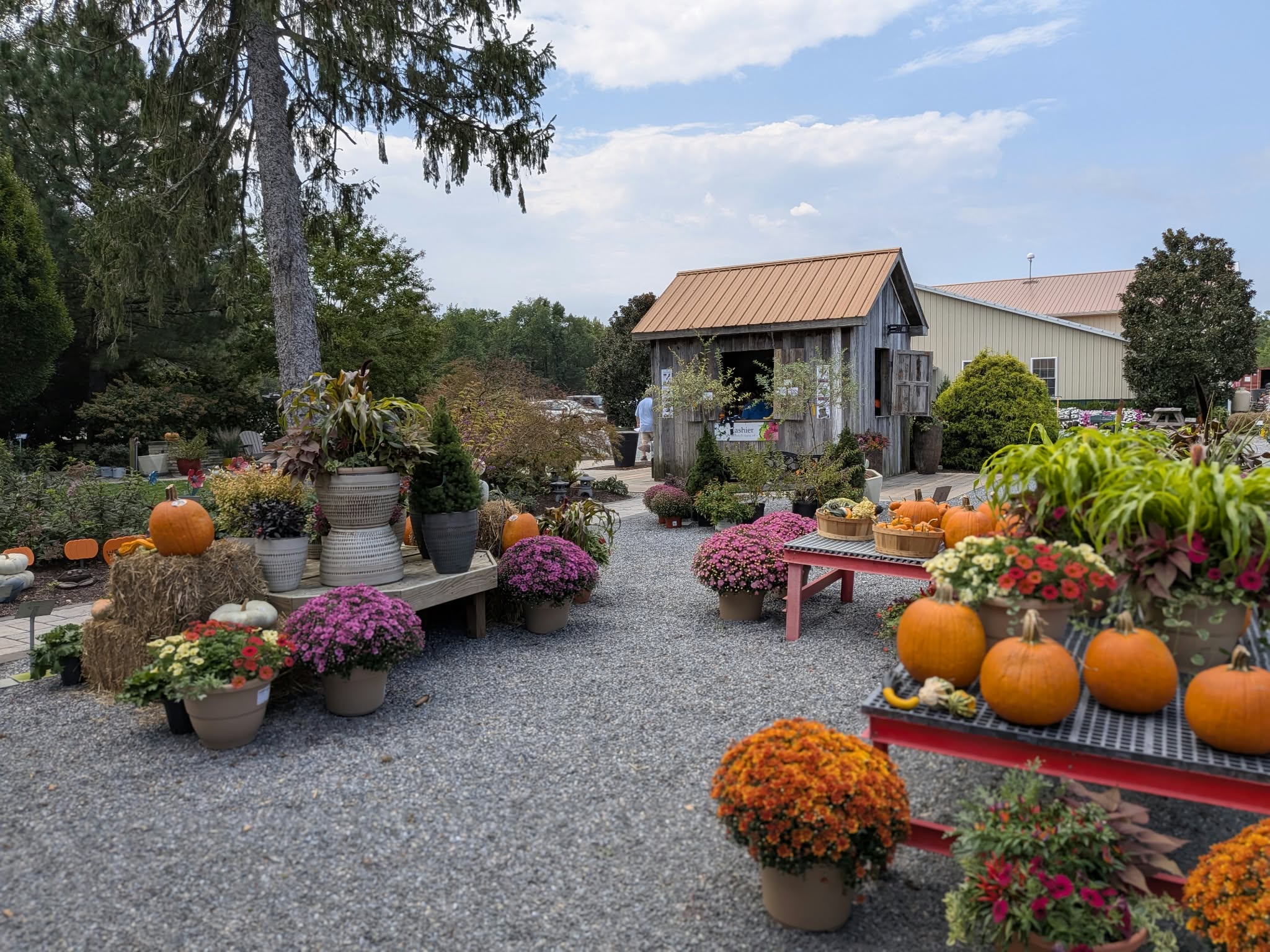 Seasonal garden displays and colorful plants at Bella Terra