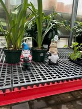 Small decorative garden figures displayed beside plants