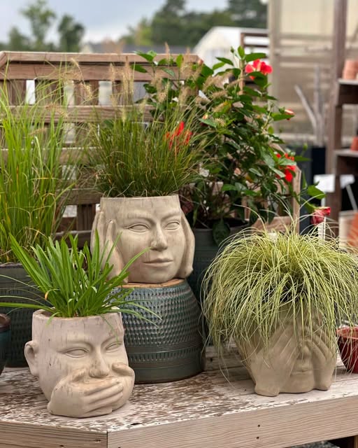 Decorative face-shaped planters with green foliage