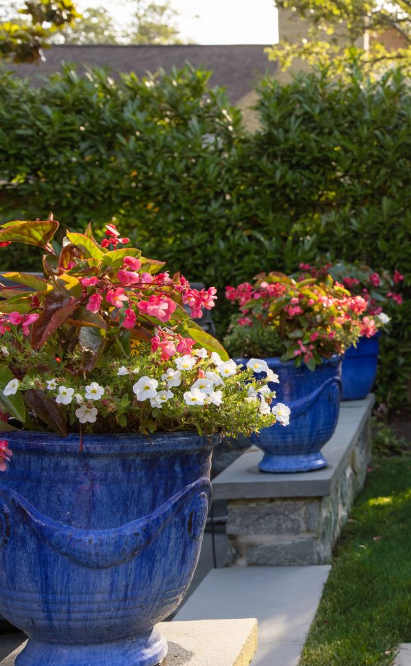 Blue decorative garden pots filled with flowers