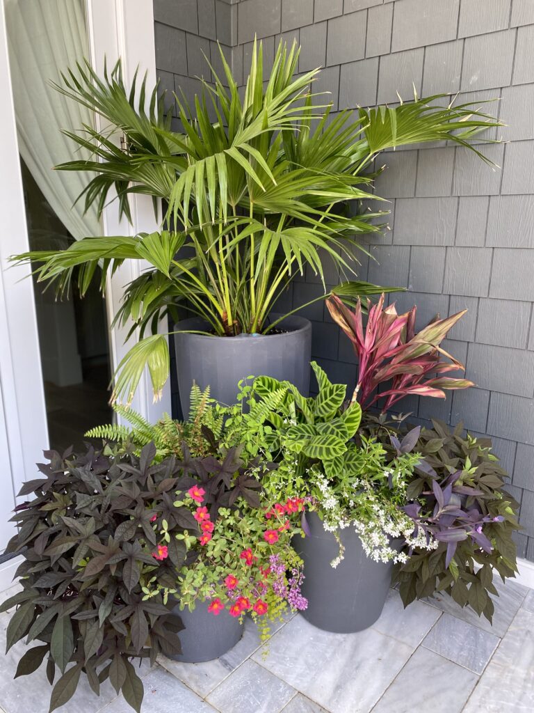 Grouped porch planters filled with tropical foliage