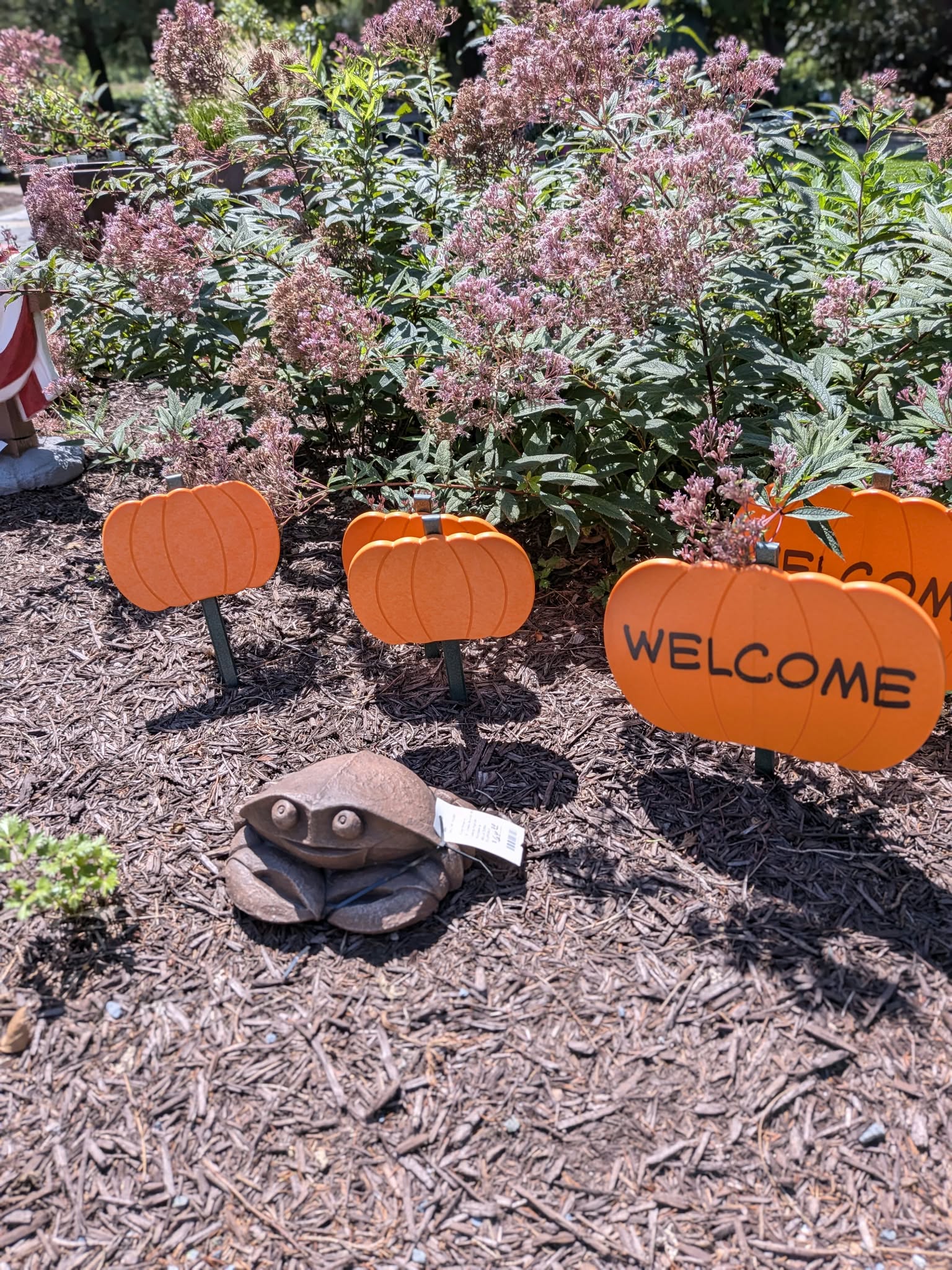 Pumpkin-shaped welcome signs and seasonal garden accents